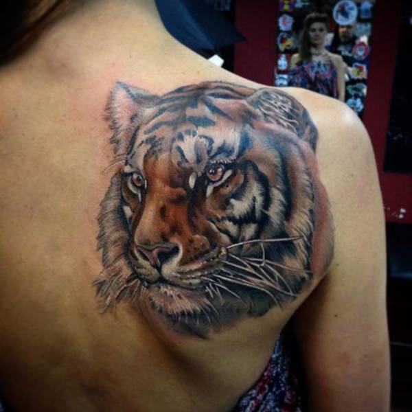 tatuagem tigre 239
