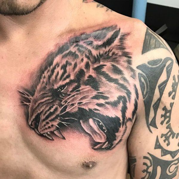 tatuagem tigre 255