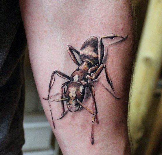 90 Tatuagens de formigas (Com o seu significado)