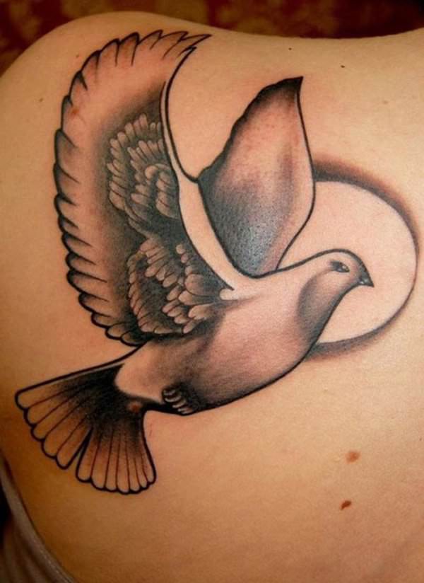 190 tatuagens de pombas Desenhos e significados