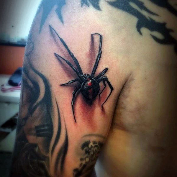 150 tatuagens de aranhas e teias de aranha (com o significado)