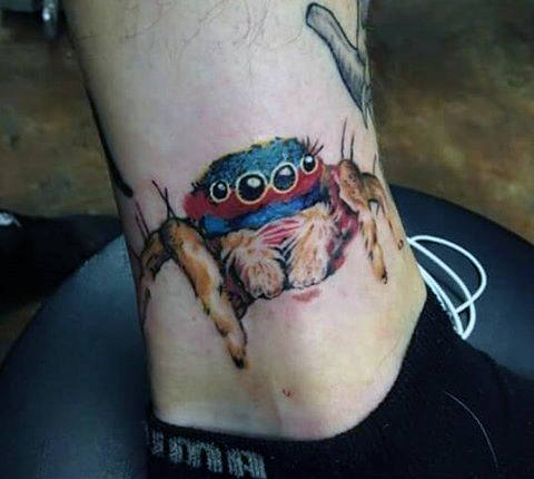 tatuagem aranha 181