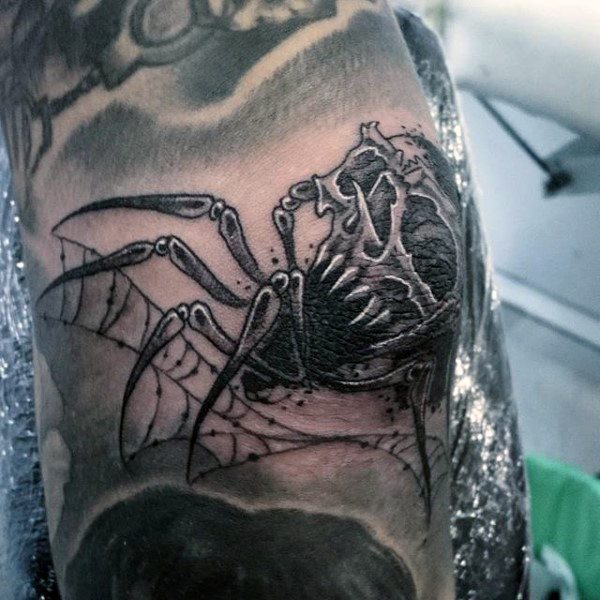 tatuagem aranha 532