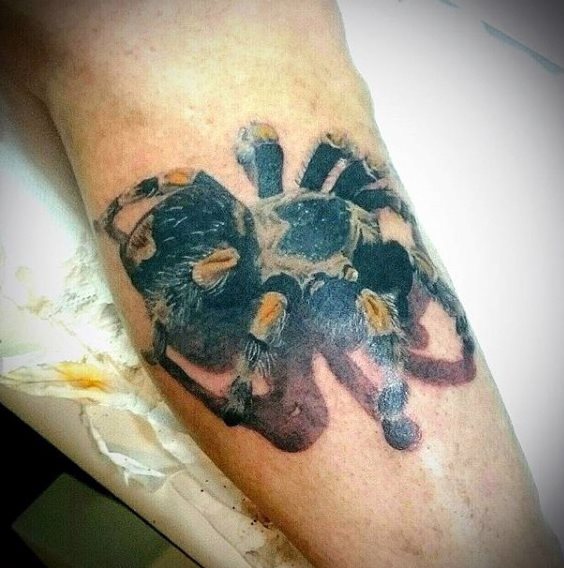 tatuagem aranha 675