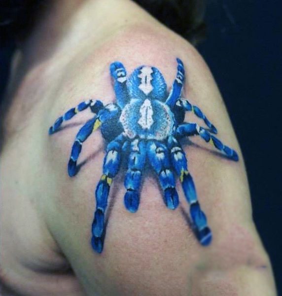 tatuagem aranha 688