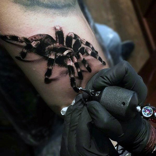tatuagem aranha 961