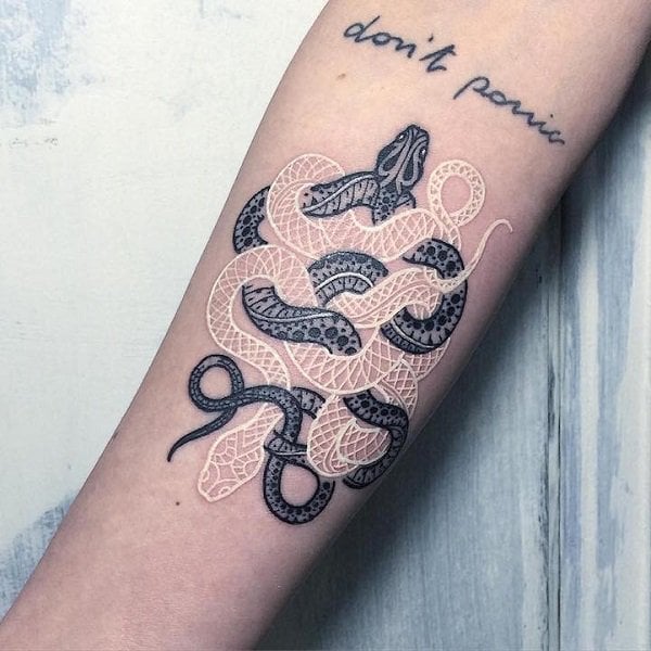 tatuagem serpente 466