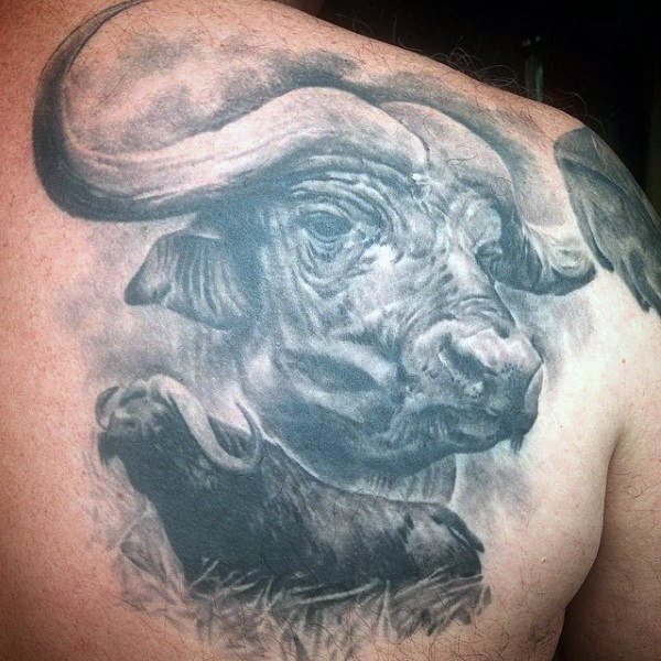 72 tatuagens de touros (e o seu significado)