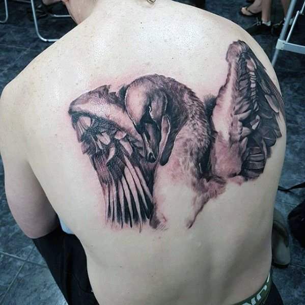 tatuagem cisne 101