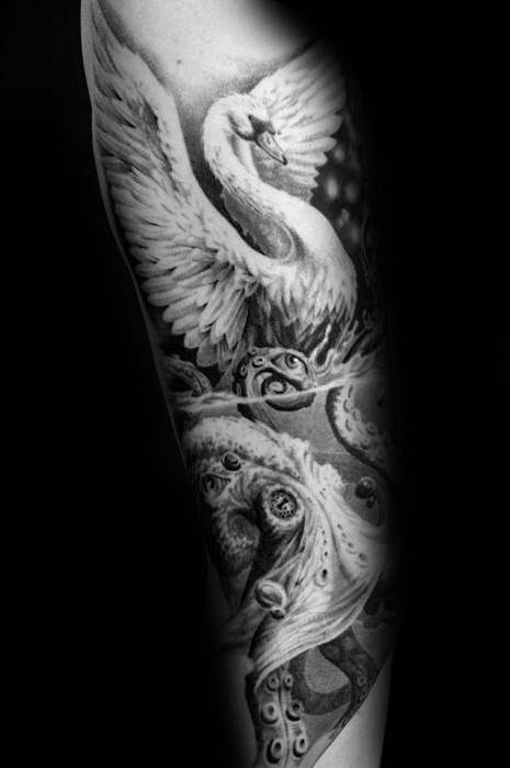 tatuagem cisne 134