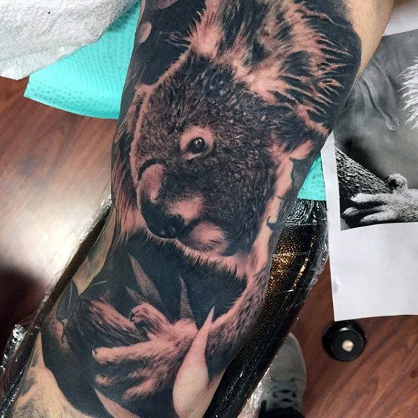 tatuagem coala 35
