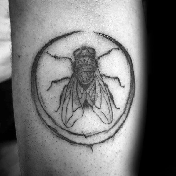 tatuagem mosca 73