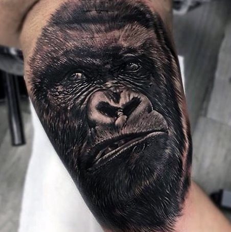 tatuagem gorila 202