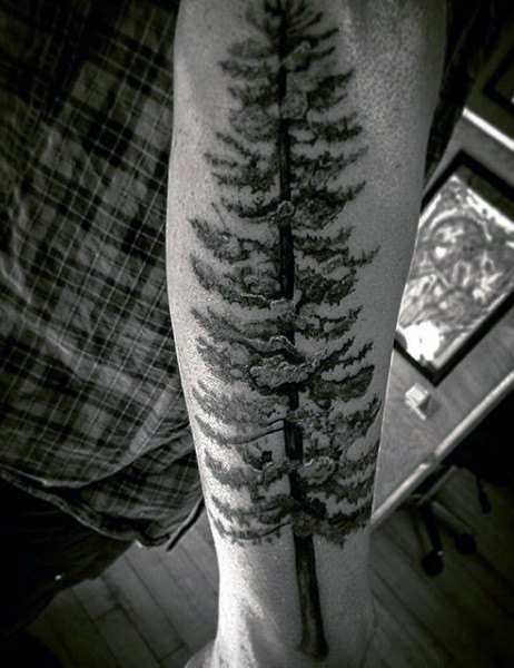 tatuagem pinheiro 37