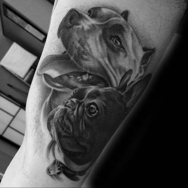 tatuagem pitbull 08