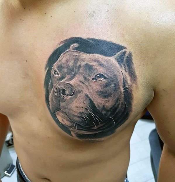 tatuagem pitbull 143