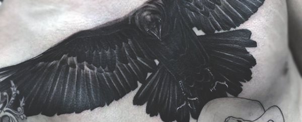 tatuagem corvo 338
