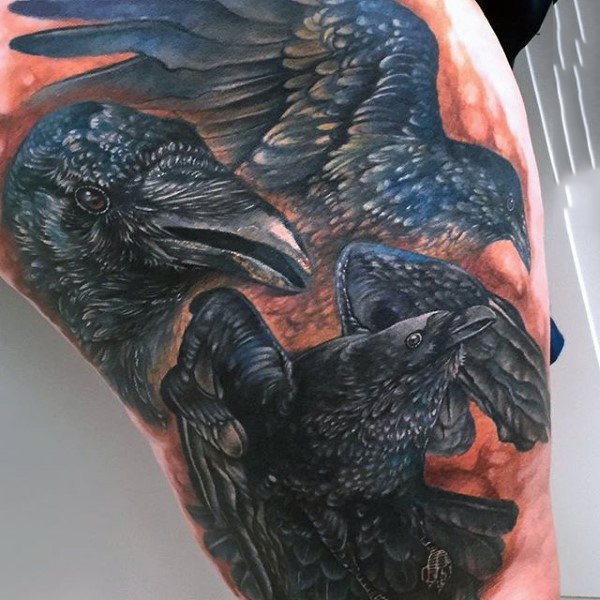 tatuagem corvo 370