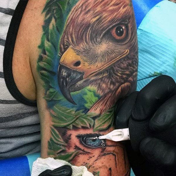 98 tatuagens de falcão (com o seu significado)