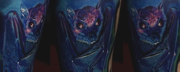 tatuagem morcego 26