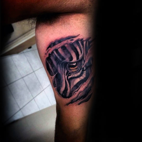 tatuagem zebra 162
