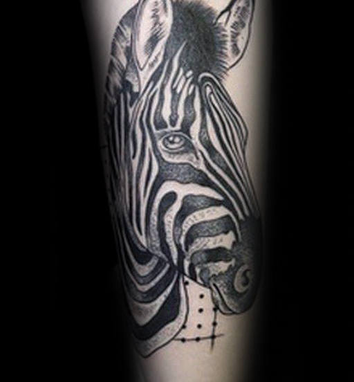 tatuagem zebra 182