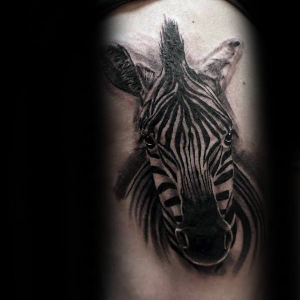tatuagem zebra 46