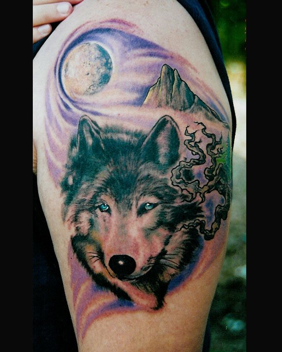 tatuagem lobo 569