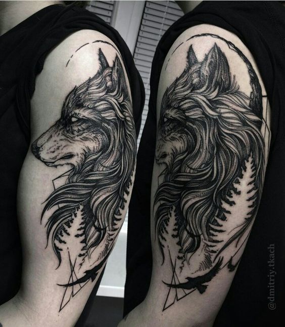 tatuagem lobo 584