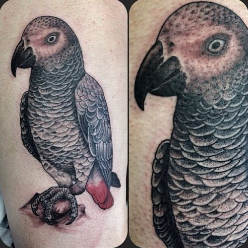 tatuagem papagaio 11