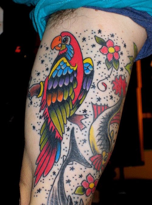 tatuagem papagaio 113
