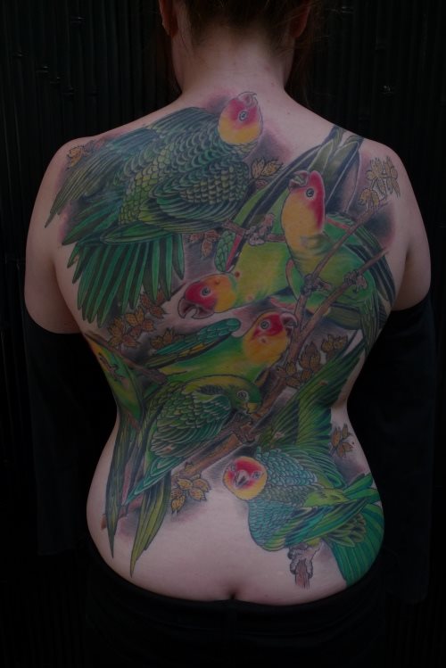 tatuagem papagaio 122