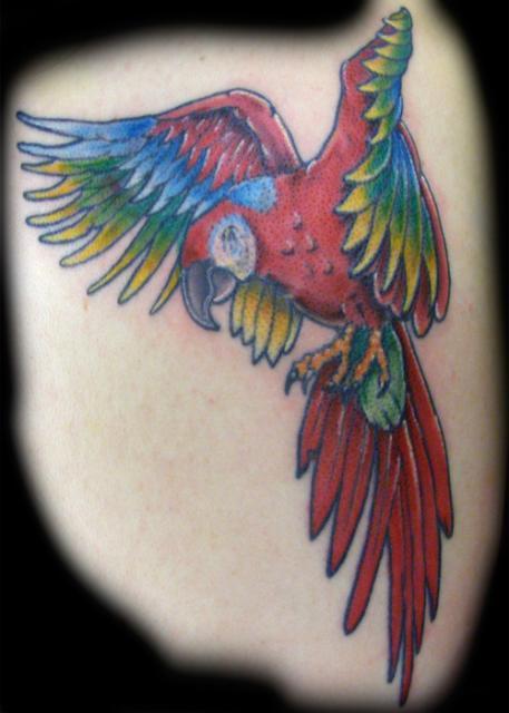 tatuagem papagaio 131