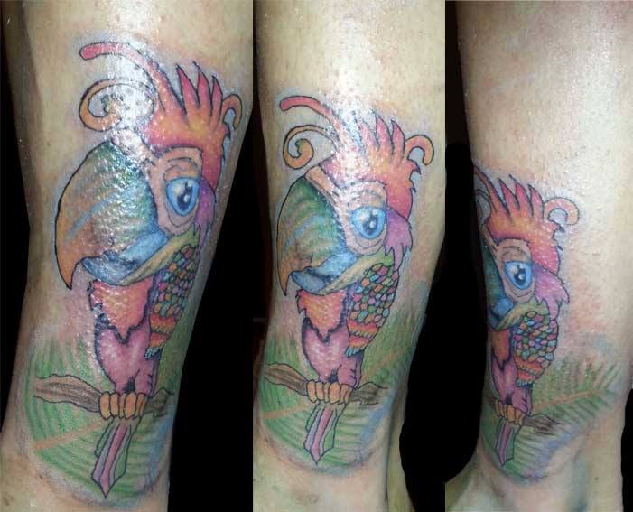 tatuagem papagaio 137