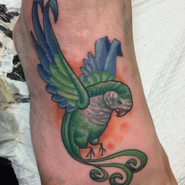 tatuagem papagaio 158