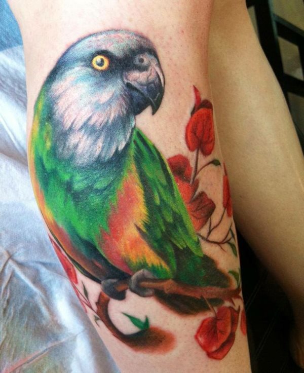 tatuagem papagaio 161