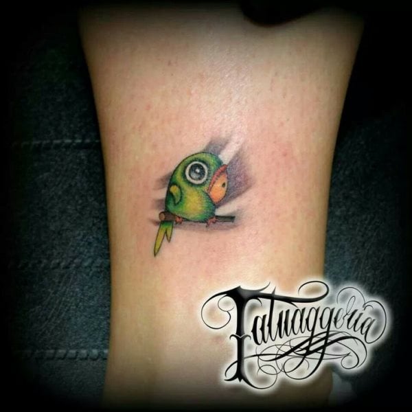tatuagem papagaio 164