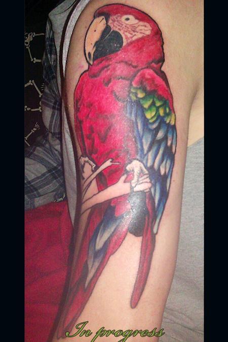tatuagem papagaio 167