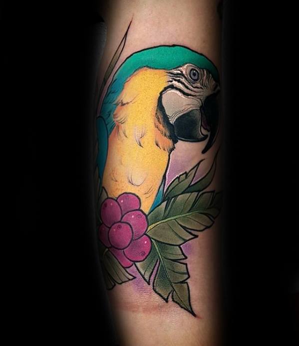 tatuagem papagaio 17