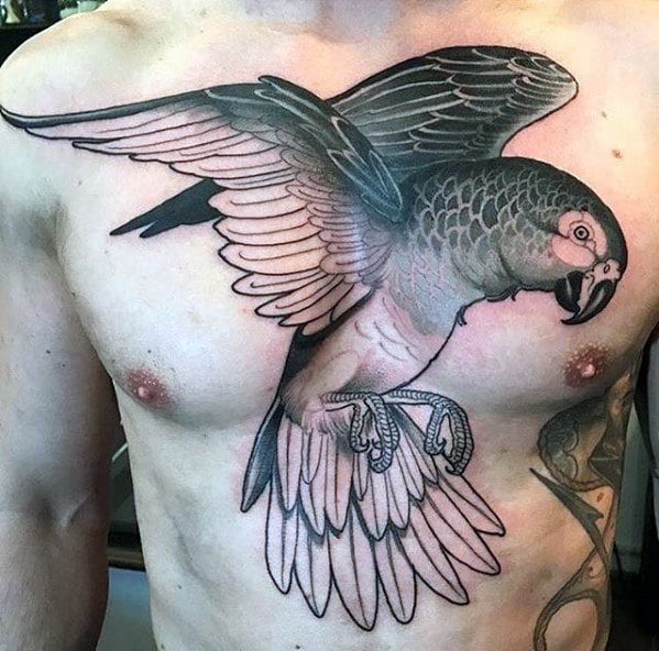 tatuagem papagaio 179