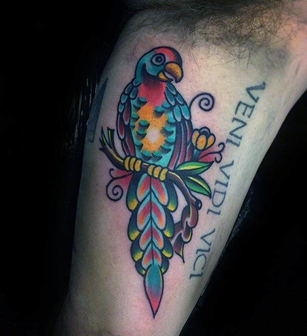 tatuagem papagaio 182