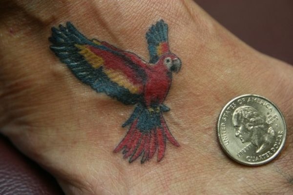 tatuagem papagaio 194