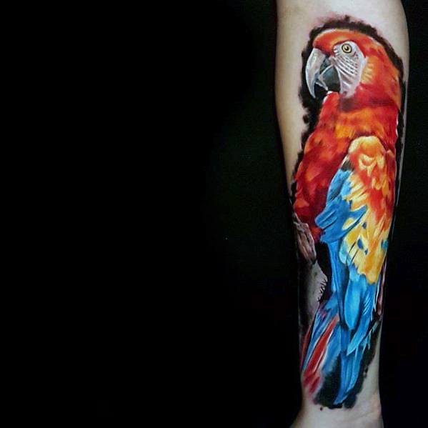 tatuagem papagaio 203