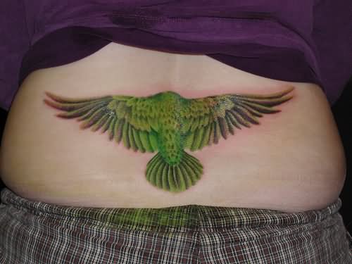 tatuagem papagaio 221