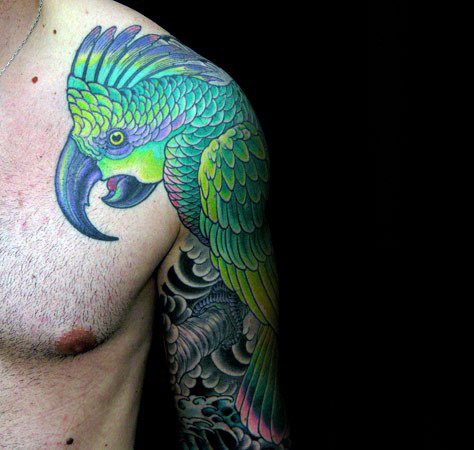 tatuagem papagaio 242