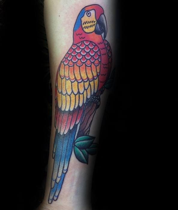 tatuagem papagaio 260