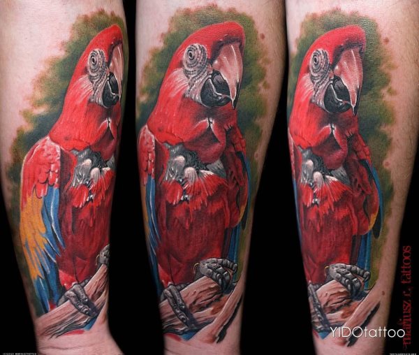 tatuagem papagaio 266