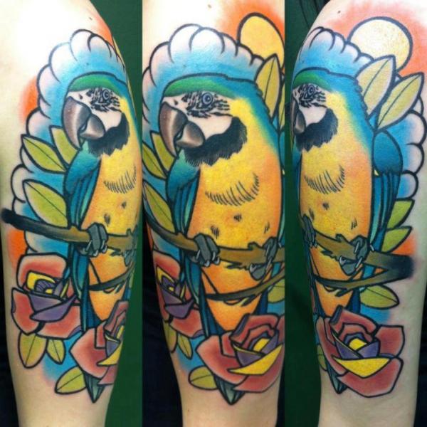 tatuagem papagaio 269