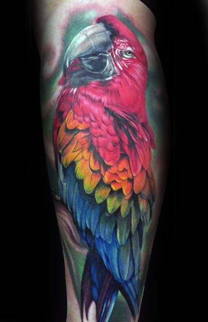 tatuagem papagaio 272