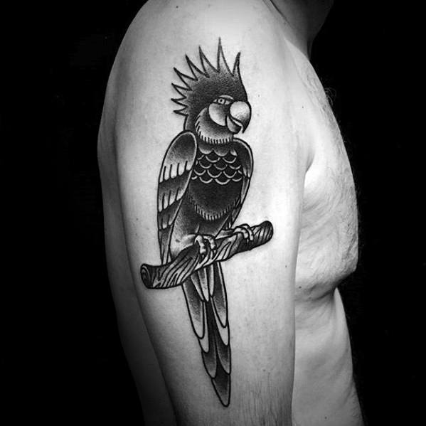 tatuagem papagaio 278